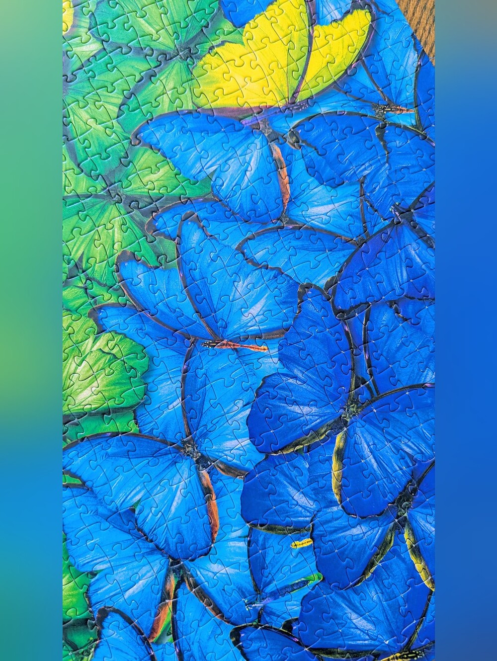 Butterfly 1000 Piece Puzzle Eurographics Butterfly - Picture 6 of 6
